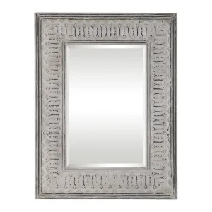 Uttermost Argenton Aged Gray Rectangle Mirror